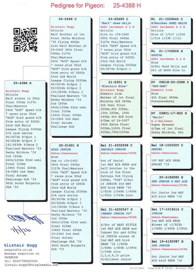 SU 25 4388 F - Half sister 58 Final Thailand Master; Gdght Earl (Gebr Leidemann)