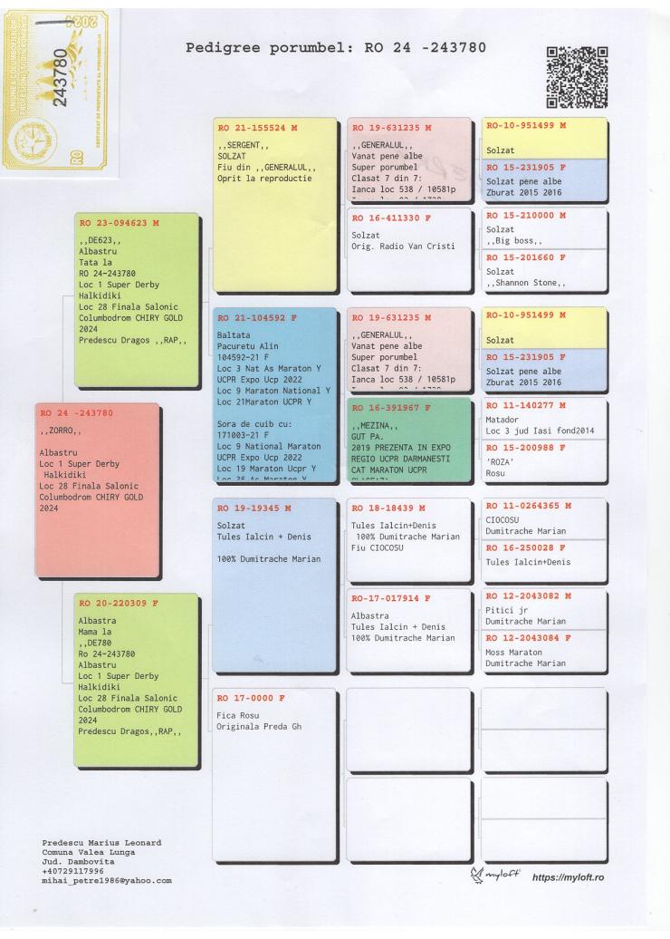 1	Super Derby (564 km) Predescu Marius	24-UCPR-243780
