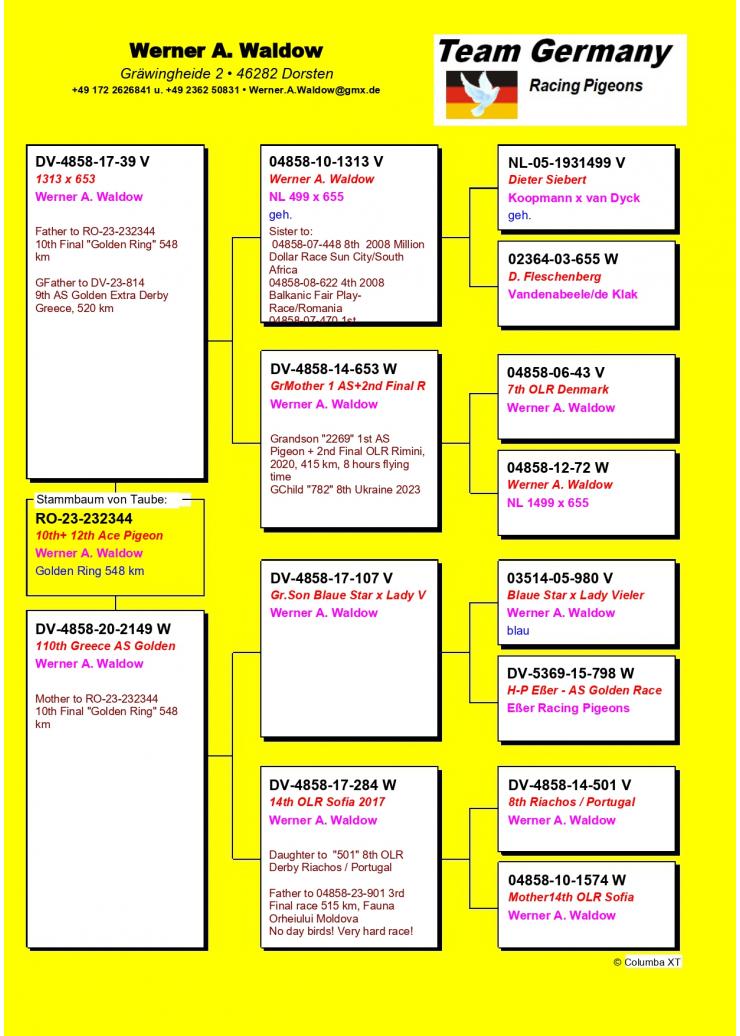 10	place Final (546 km)	WERNER WALDOW & SILVIA THIEL	232344