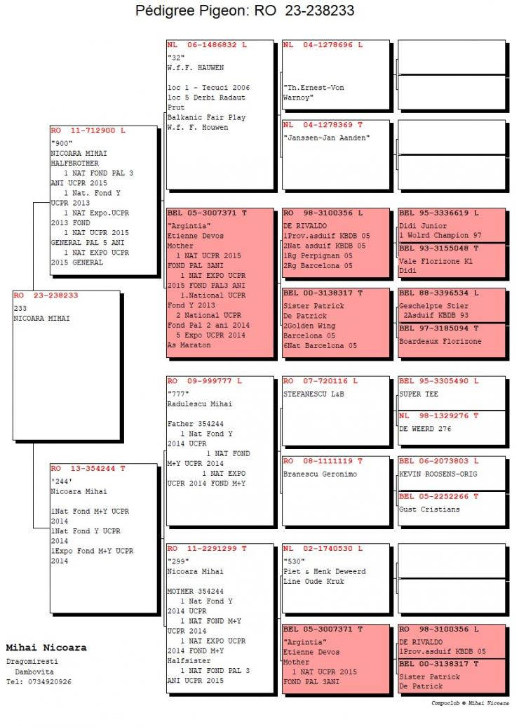 10	Super Derby Halkidiki (554 km)	NICOARA MIHAI	238233	/2023