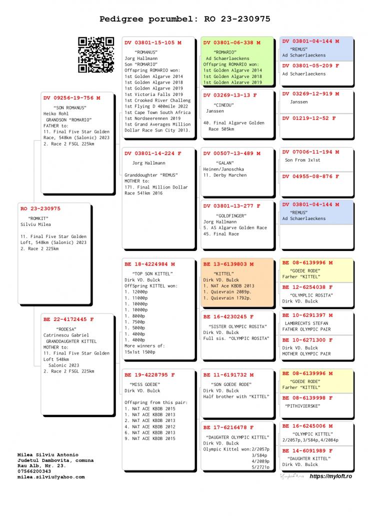 11	place Final (546 km)	MILEA SILVIU	230975