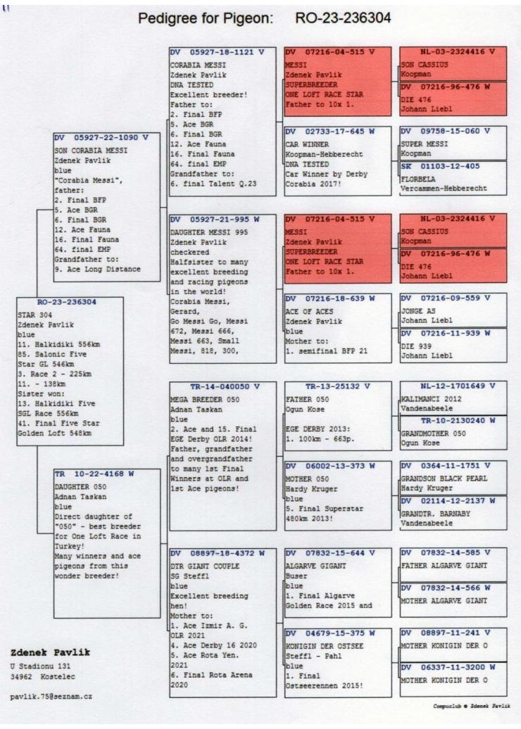 11	Super Derby Halkidiki (554 km)	ZDENEK PAVLIK	236304	/2023