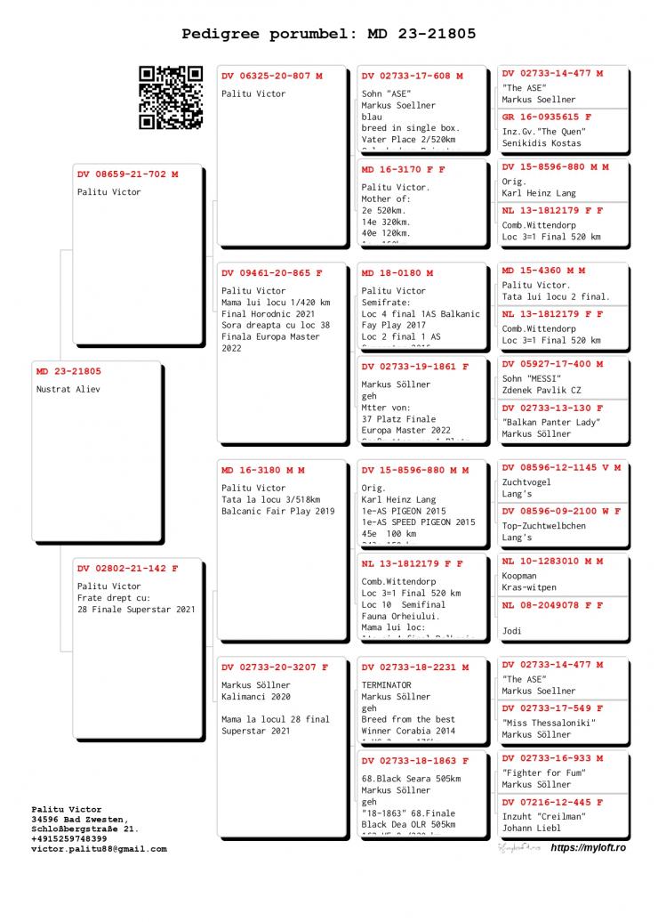128	Super Derby (502 km)	Nusrat 		MD-23-21805 &middot; Activ