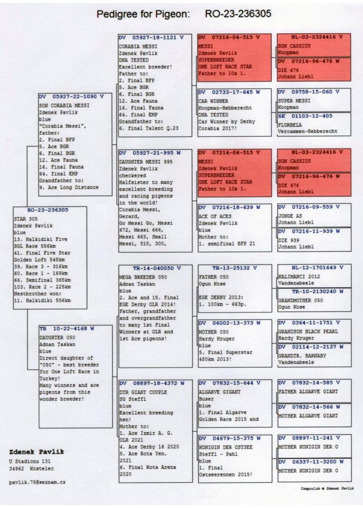 13	Super Derby Halkidiki (554 km)	ZDENEK PAVLIK	236305	/2023