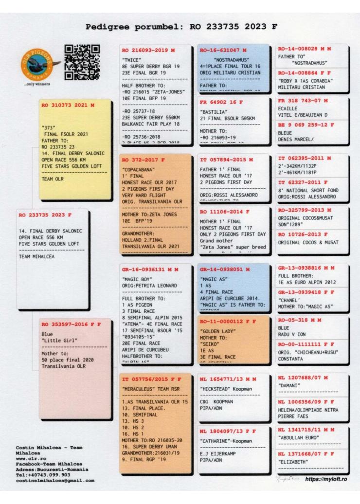 14	Super Derby Halkidiki (554 km)	TEAM MIHALCEA	233735	/2023
