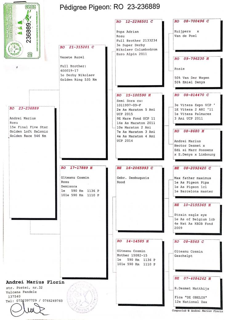 15	place Final (546 km)	ANDREI MARIUS & MITU & ONCESCU	236889