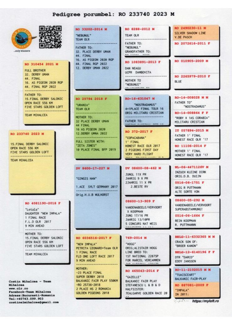 15	Super Derby Halkidiki (554 km)	TEAM MIHALCEA	233740	/2023