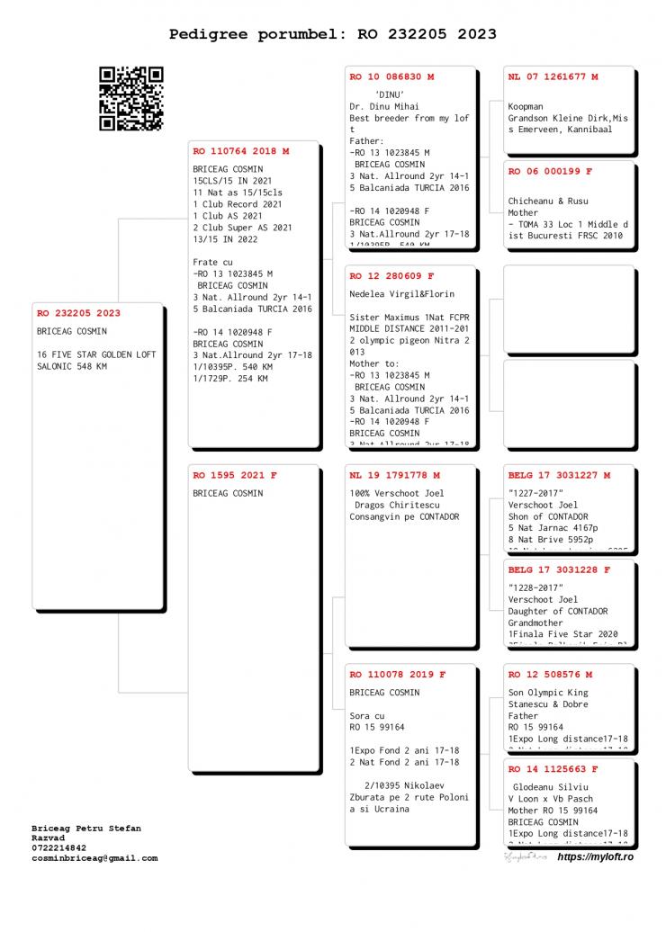 16	place Final (546 km)	BRICEAG COSMIN	232205