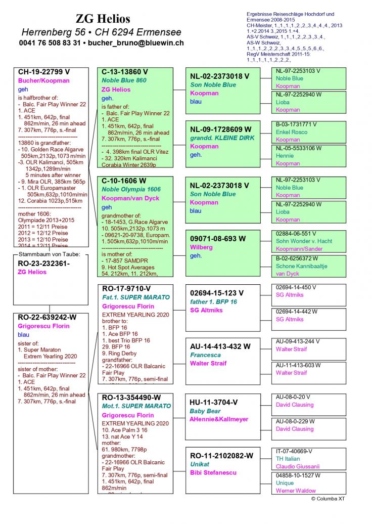 16	Super Derby Halkidiki (554 km)	ZG HELIOS	232361	/2023