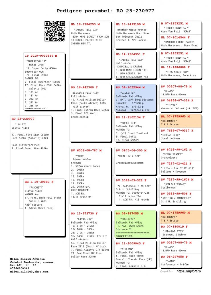 17	place Final (546 km)	MILEA SILVIU	230977