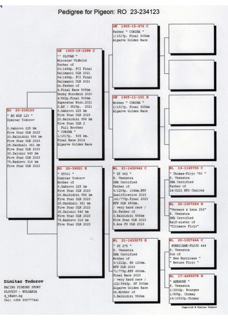 17	Super Derby Halkidiki (554 km)	TEAM BD WIN	234123	/2023