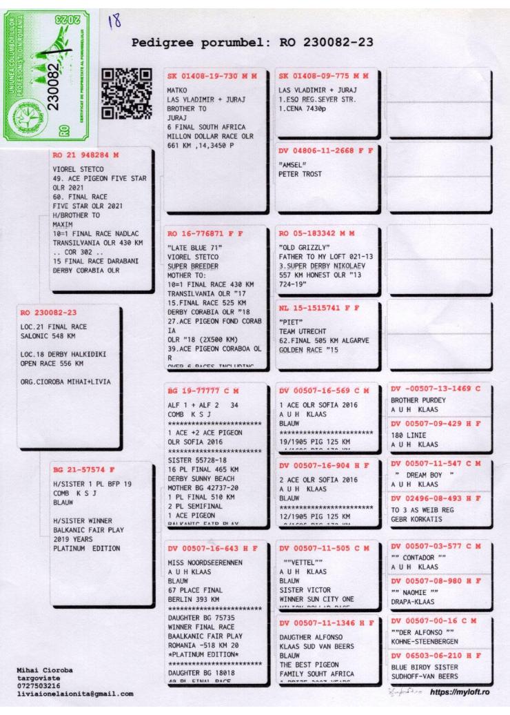 18	Super Derby Halkidiki (554 km)	CIOROBA MIHAI & LIVIA	230082	/2023