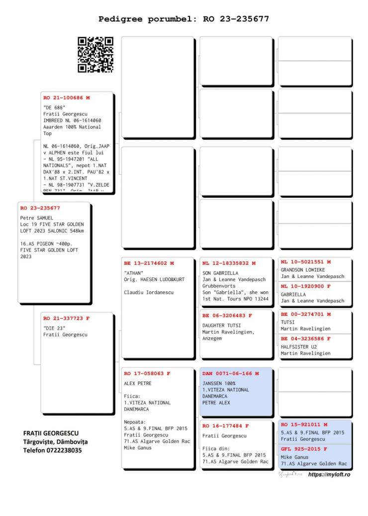 19	place Final (546 km)	PETRE SAMUEL	235677