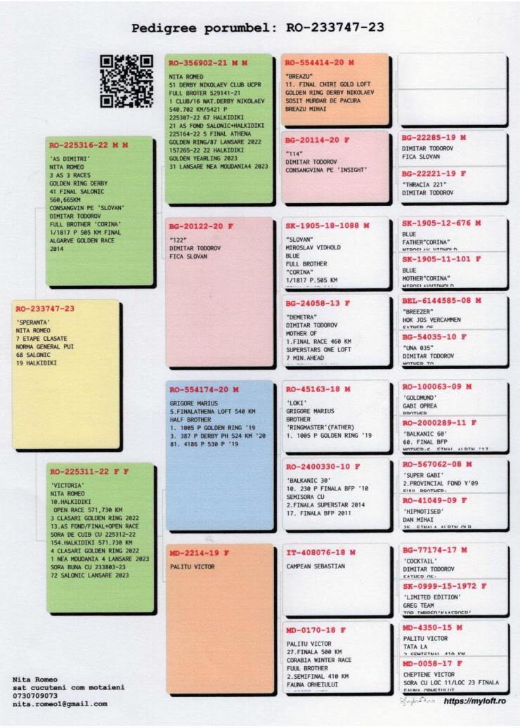 19	Super Derby Halkidiki (554 km)	NITA ROMEO	233747	/2023