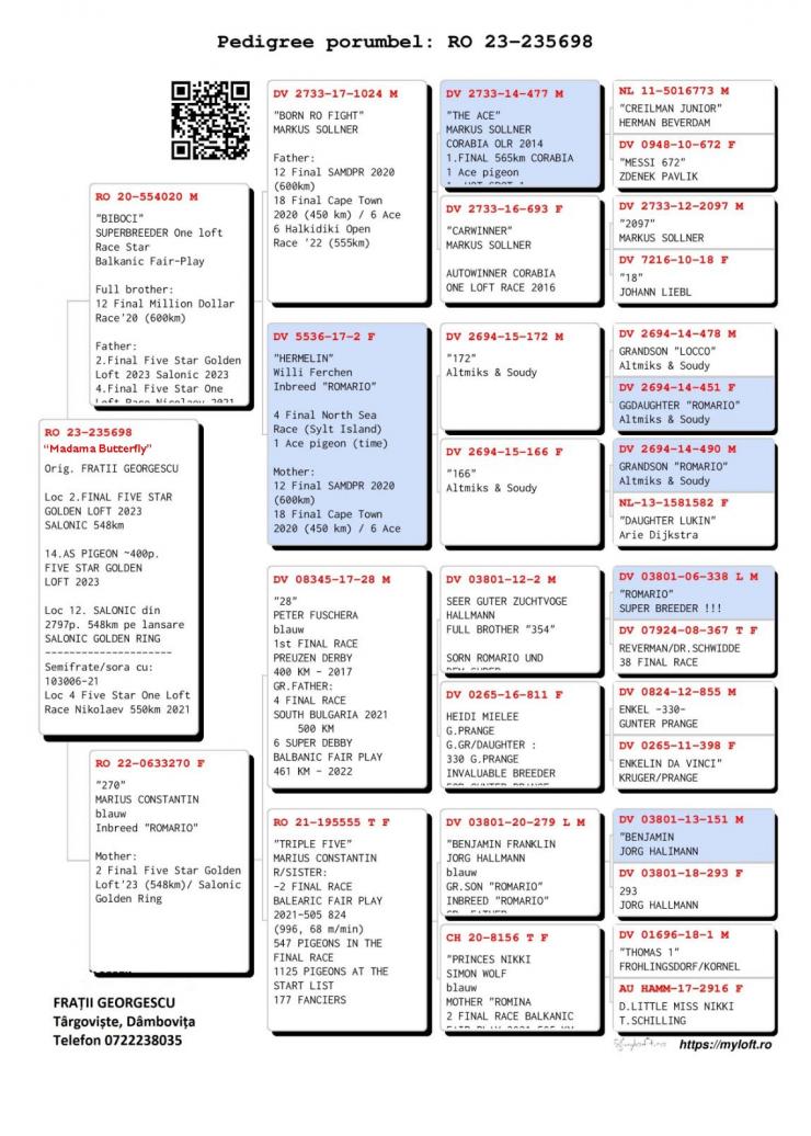 2	place Final (546 km)	FRATII GEORGESCU	235698