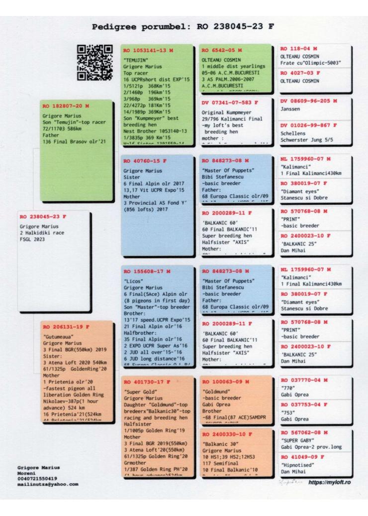 2	Super Derby Halkidiki (554 km)	GRIGORESCU FLORIN	238045	/2023