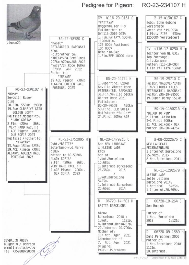 20	place Final (546 km)	TEAM SEVDALIN RUSEV	234107