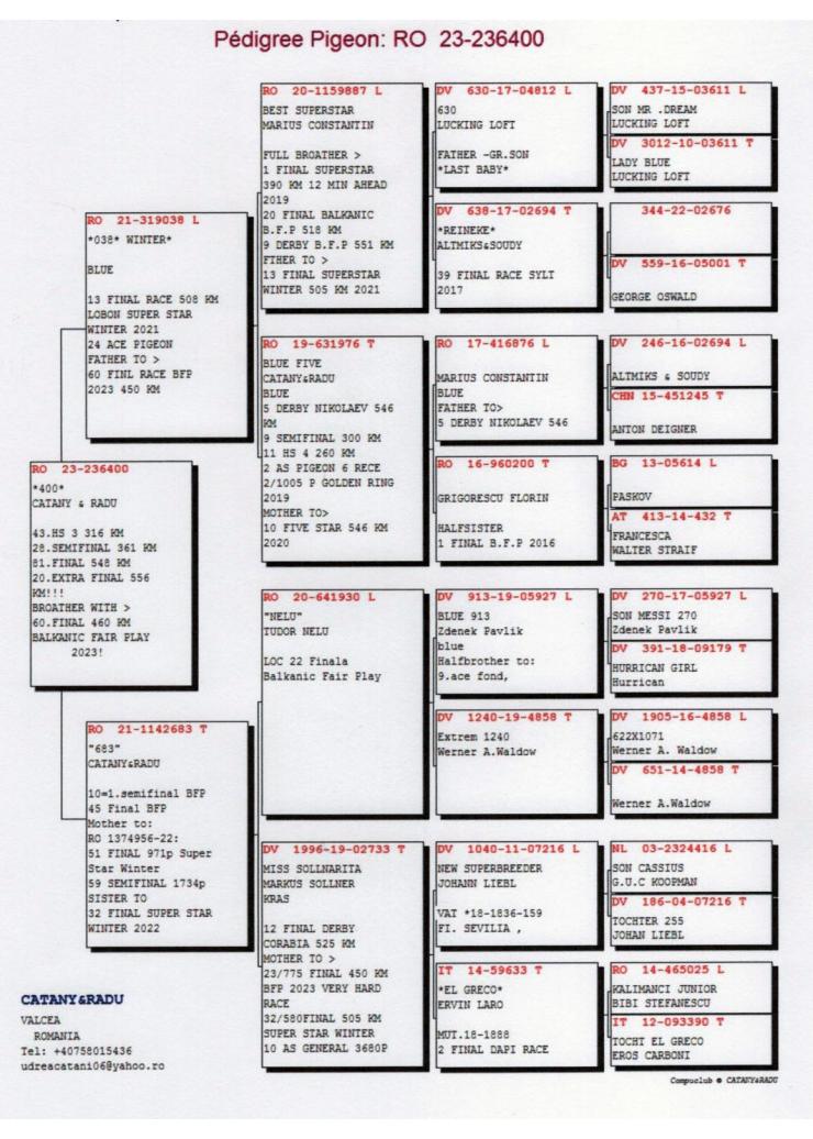20	Super Derby Halkidiki (554 km)	UDREA CATANI	236400	/2023