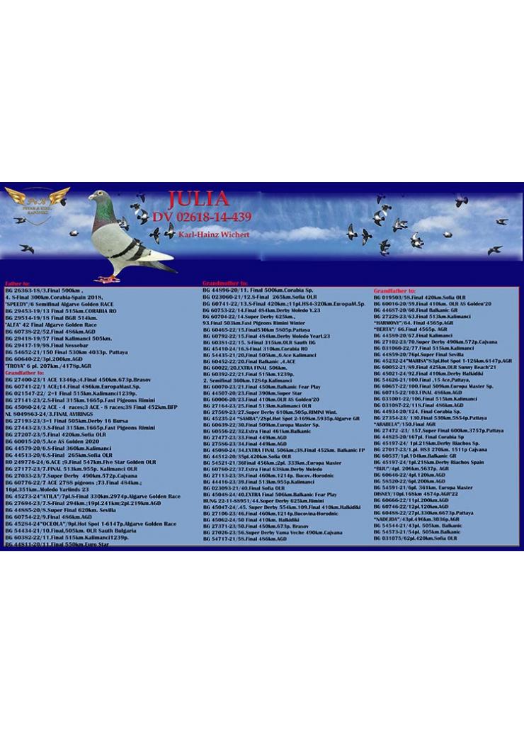 208	place Final Race (417 km) 	 Petar & Kiril Raponski B	 BG-45400-2024	