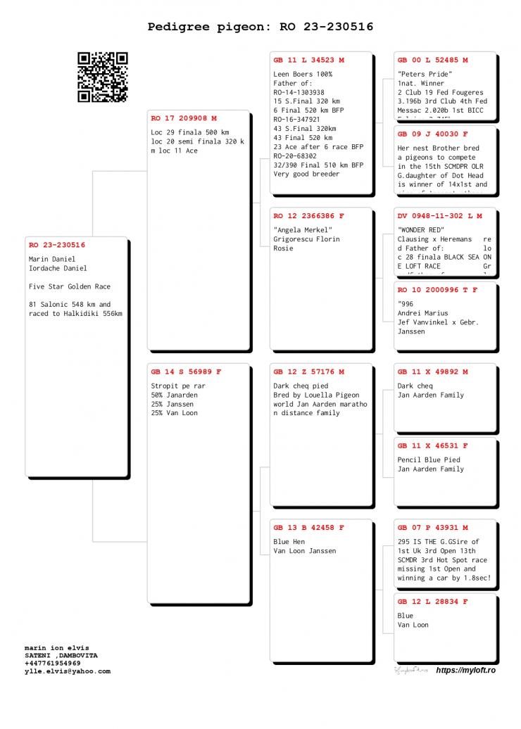 21	Super Derby Halkidiki (554 km)	IORDACHE DANIEL	230516	/2023