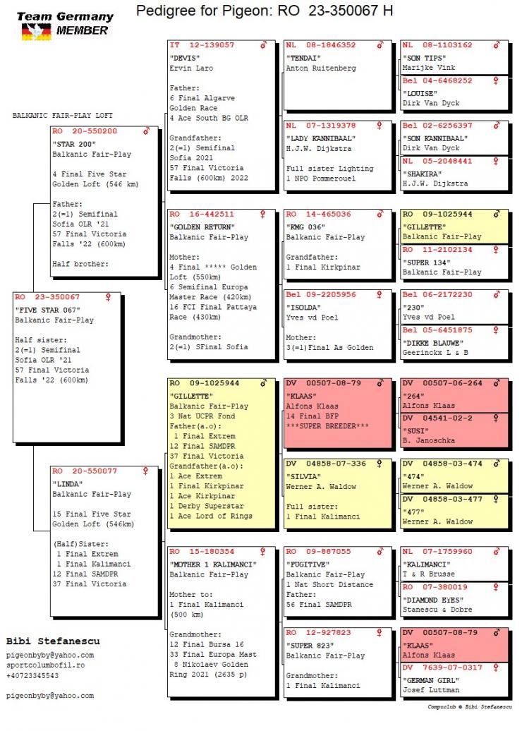 22	Super Derby Halkidiki (554 km)	STEFANESCU LIVIU & BIBI	350067	/2023