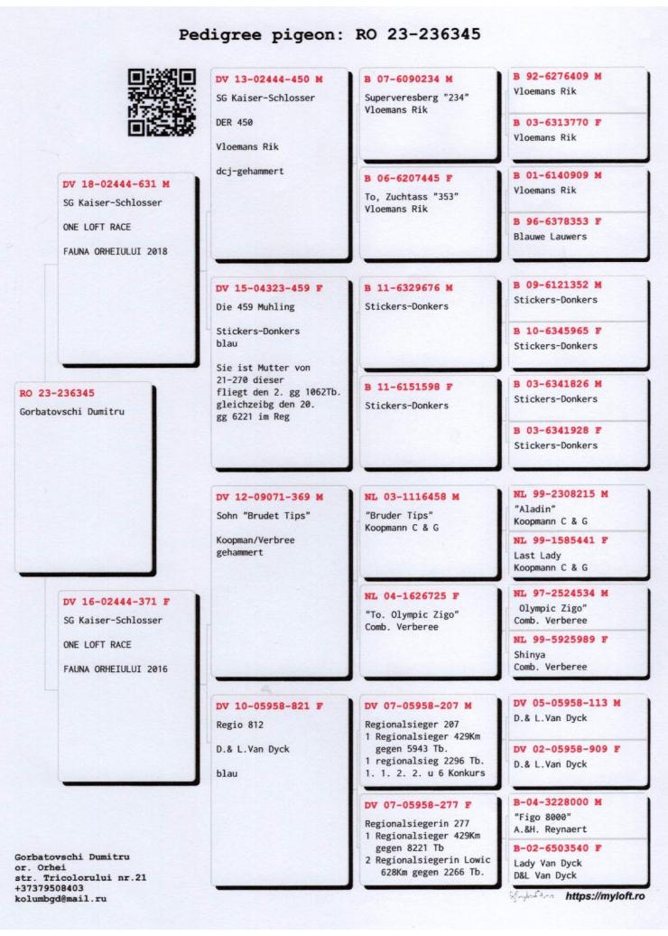 23	Super Derby Halkidiki (554 km)	GORBATOVSCHI DUMITRU	236345	/2023
