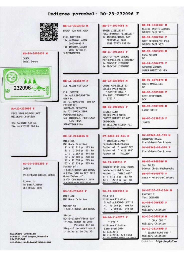 24	Super Derby Halkidiki (554 km)	MILITARU CRISTIAN	232096	/2023
