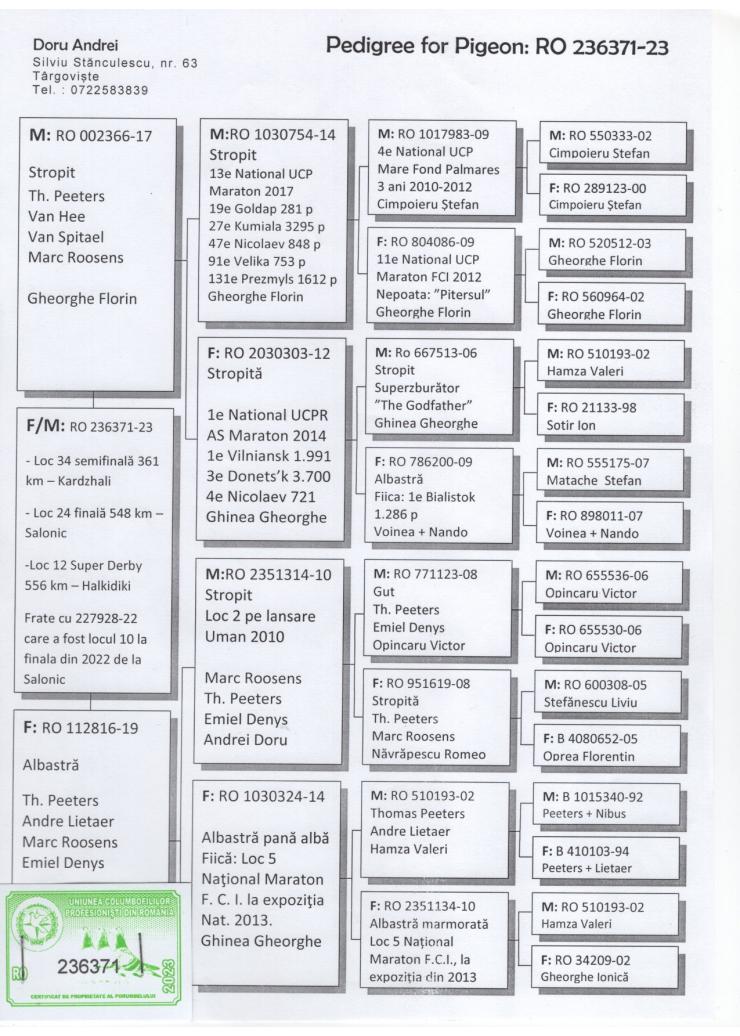 26	Super Derby Halkidiki (554 km)	LEO	236370	/2023