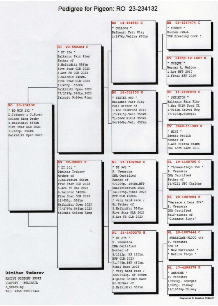 3	Super Derby Halkidiki (554 km)	TEAM BD WIN	234132	/2023