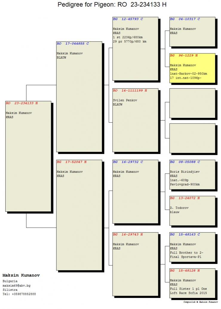 4	Super Derby Halkidiki (554 km)	MAXIM KUMANOV	234133	/2023