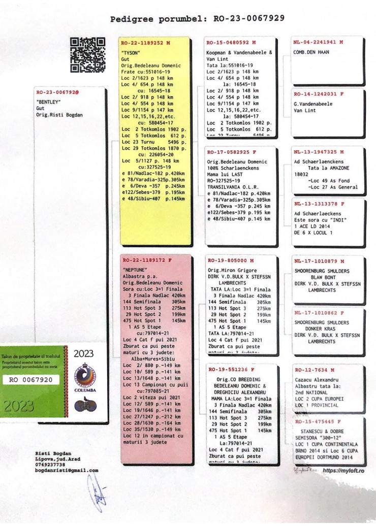 48	Final Race (420 km)	RISTI BOGDAN 		RO-23-0067920 · BENTLEY