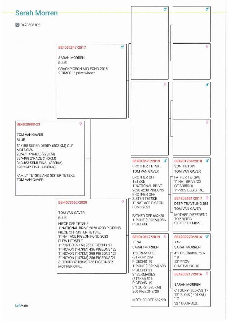 5 (=1) Super Derby (502 km)	Morren Sarah 		BE-23-4020988 &middot; Activ