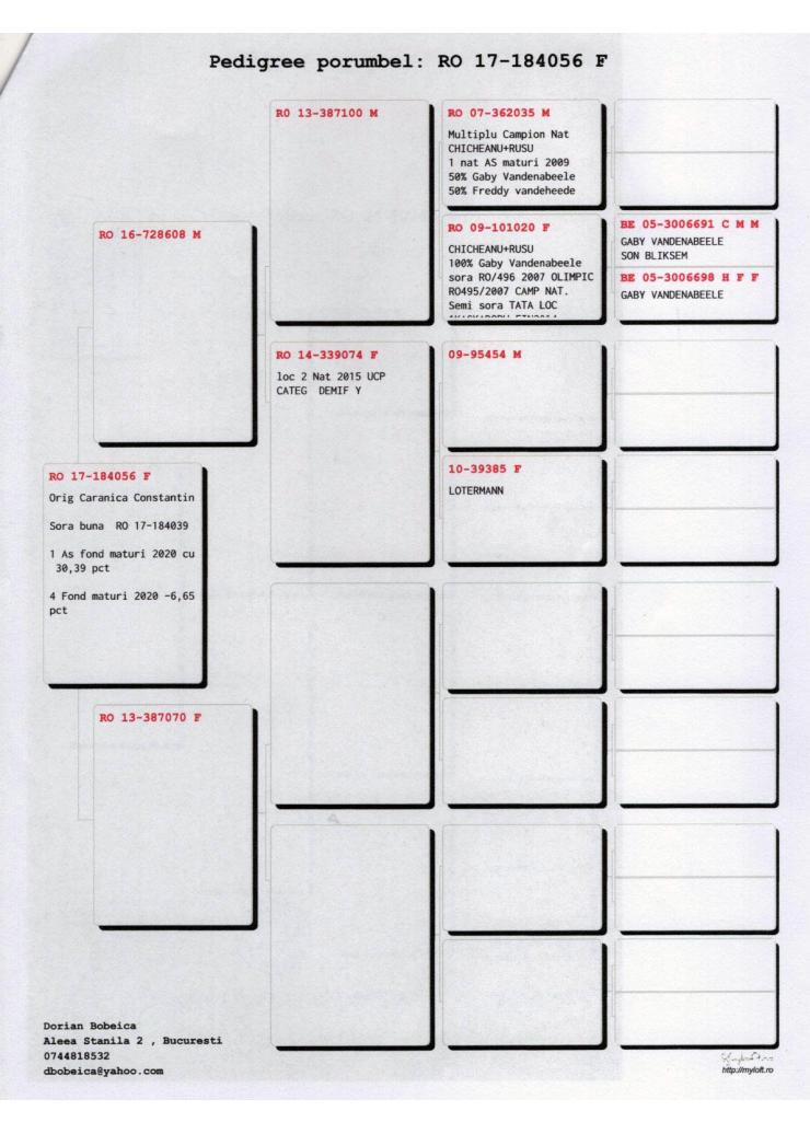 5	Super Derby Halkidiki (554 km)	POPESCU GHEORGHE	231027	/2023