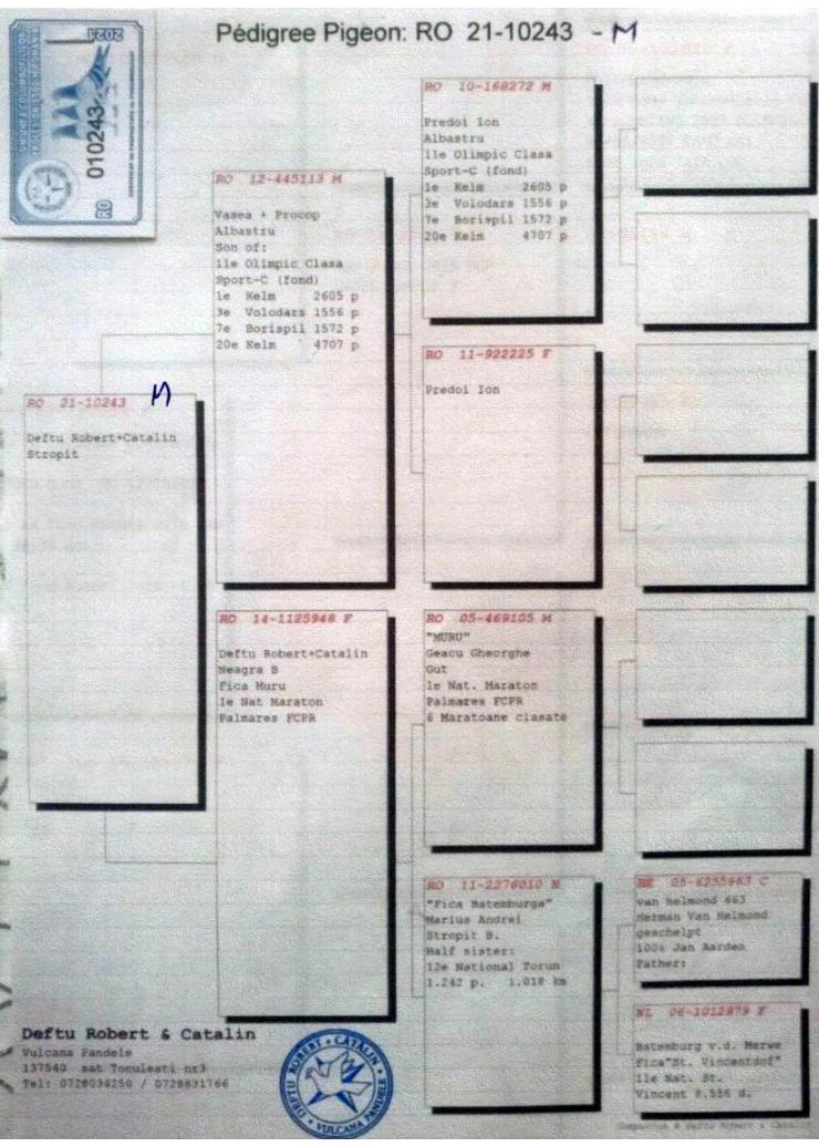 5	Super Derby Halkidiki (554 km)	POPESCU GHEORGHE	231027	/2023