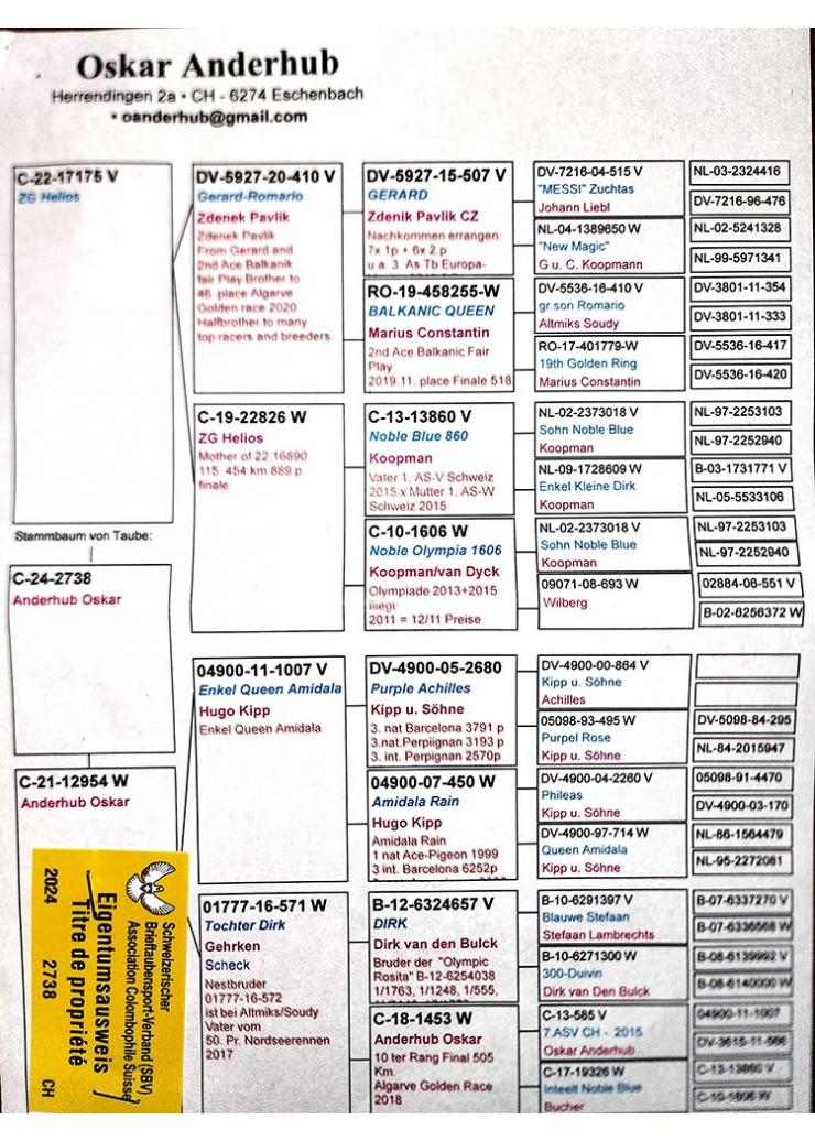 58	place Final Race (417 km) 	 Oskar Anderhub	 CH-2738-2024	