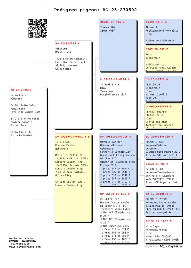 6	place Final (546 km)	IORDACHE DANIEL	230502