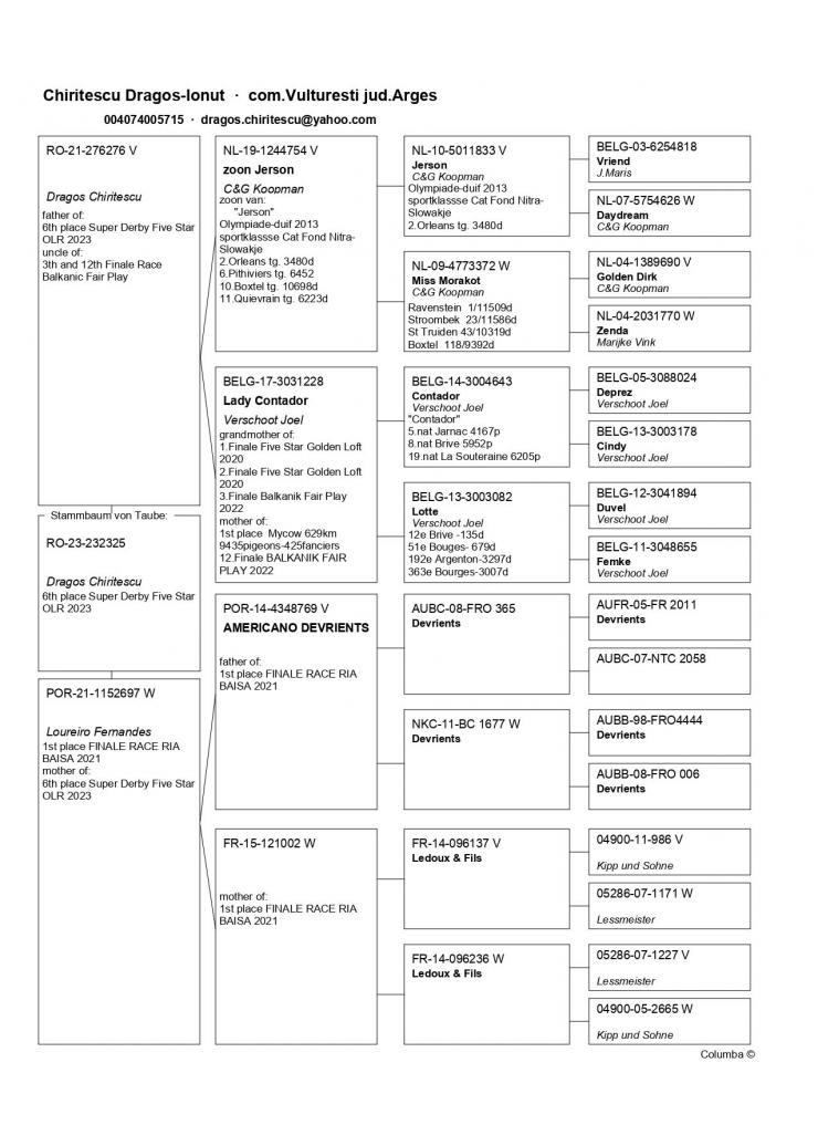 6	Super Derby Halkidiki (554 km)	CHIRITESCU DRAGOS	232325	/2023
