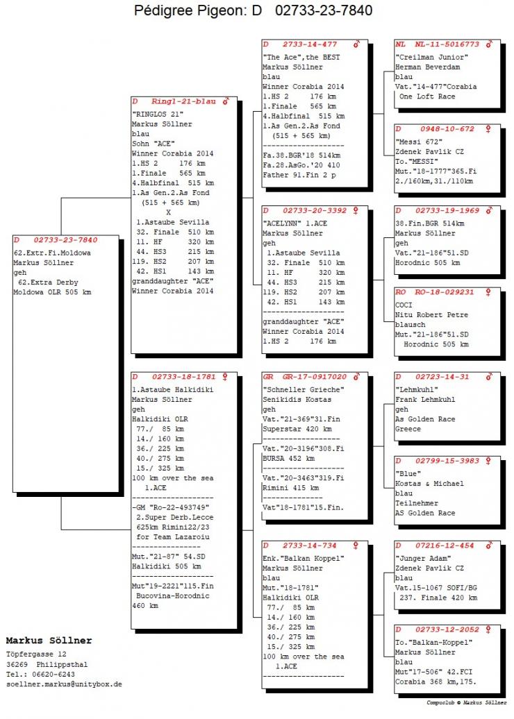 62	Super Derby (502 km)	Familie Soellner 		DV-02733-23-7840 &middot; Activ