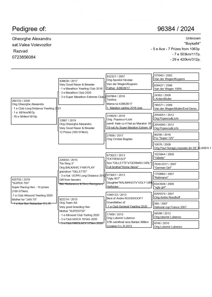 7	SUPER DERBY (507 km) 	 Team AS	 GB-24-V-96384 