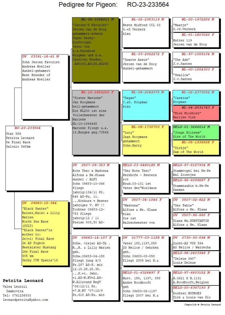 8	place Final (546 km)	PETRITA LEONARD	233564