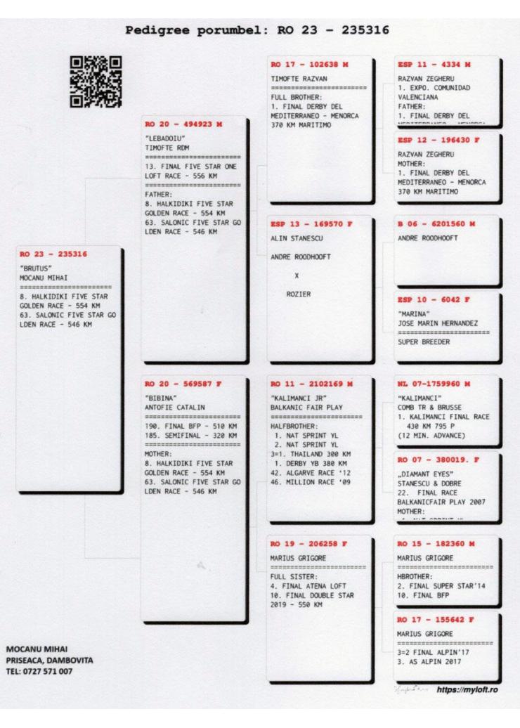8	Super Derby Halkidiki (554 km)	MOCANU MIHAI	235316	/2023