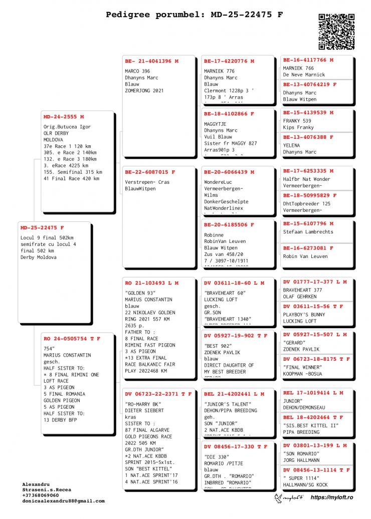 9	Final Race (502 km) 	 Donica Family	 MD-25-22475	