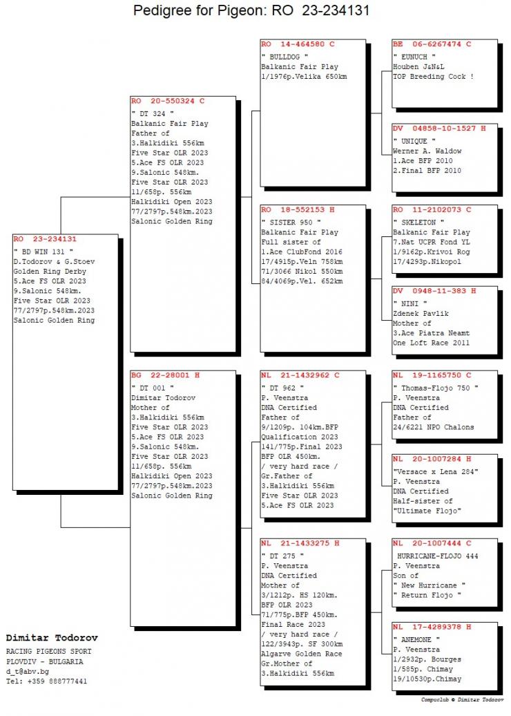 9	place Final (546 km)	TEAM BD WIN	234131
