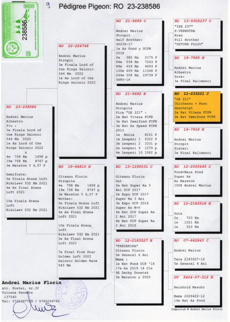 9	Super Derby Halkidiki (554 km)	ANDREI MARIUS & MITU & ONCESCU	238586	/2023