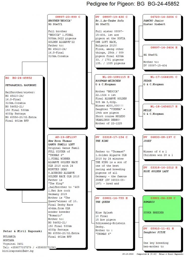 BG 24 45852 M - Brother Beocca 1 Final AGR x Sister Thomas 6
