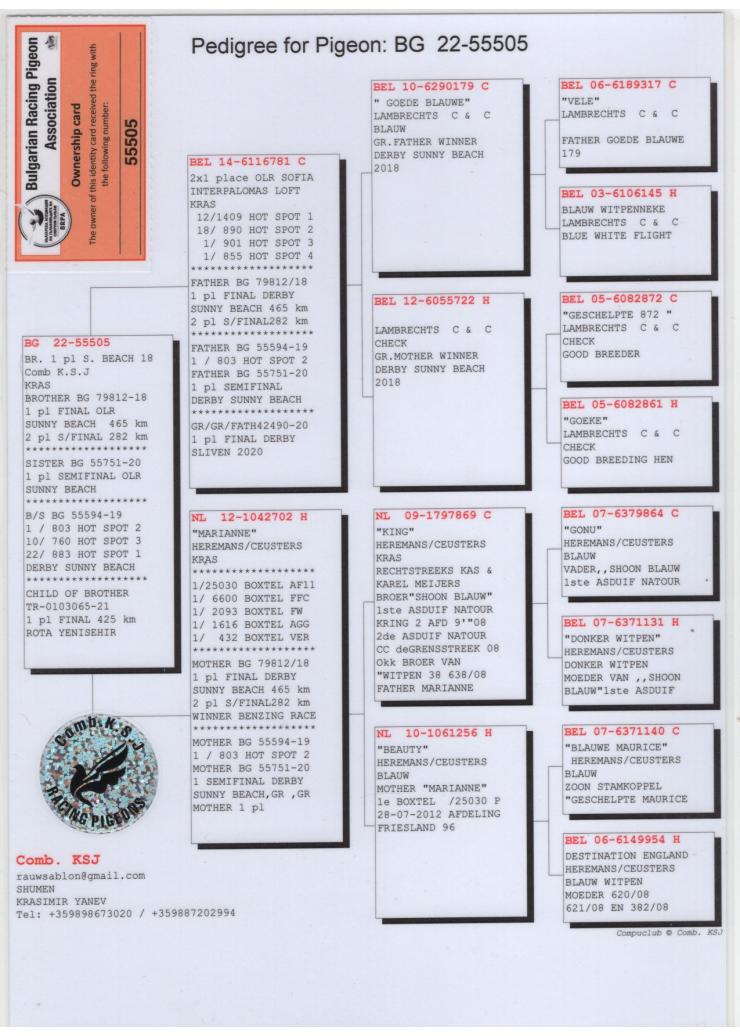 BG 55505-22 M - 2x 1 place Sofia OLR x Marianne 1 place 25030 pigeons