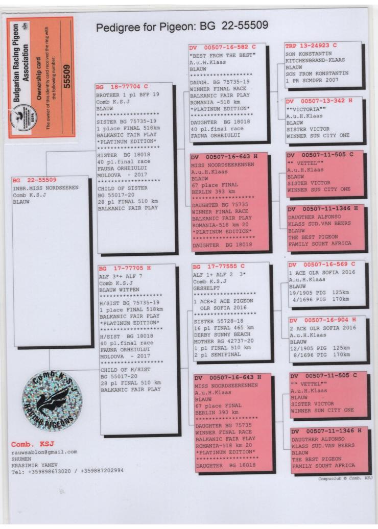 BG 55509-22 F - Inbred on mother of 1 place Final BFP