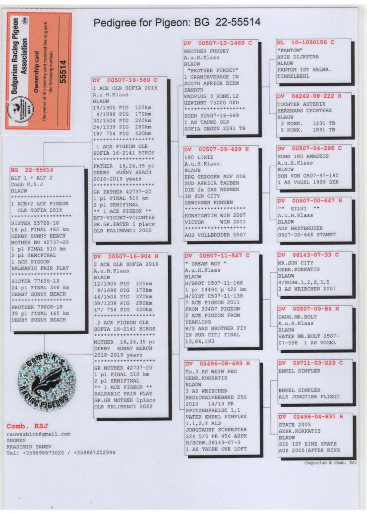 BG 55514-22 M - 1 Ace Sofia OLR 2016 x 2 Ace Sofia OLR 2016 (Alfons Klaas)