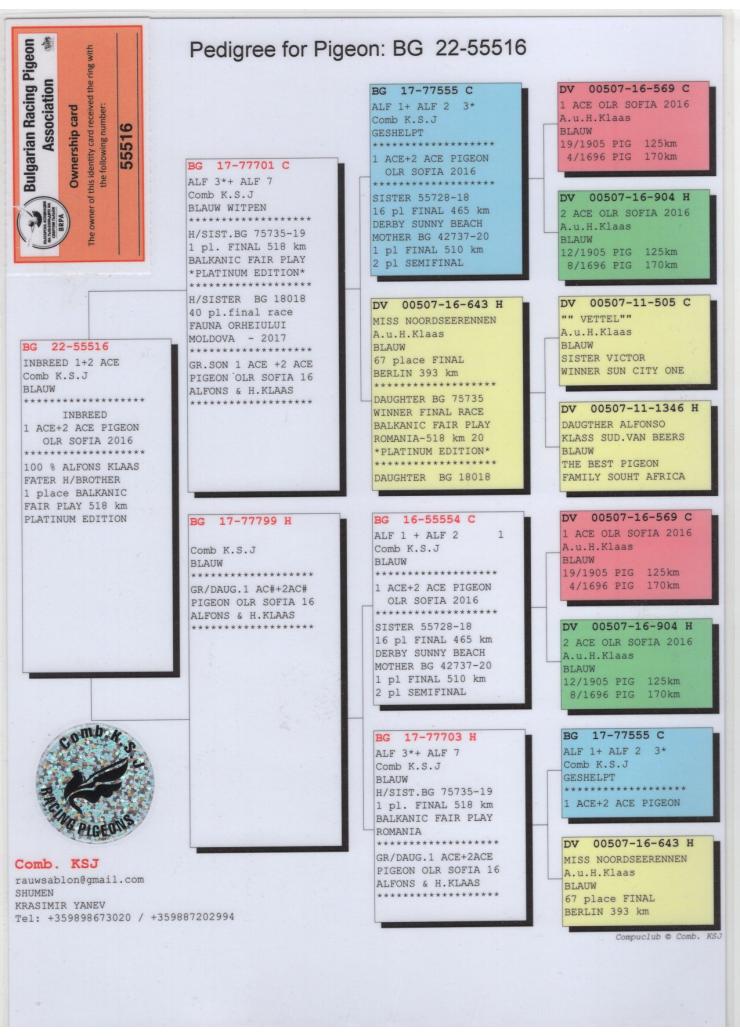 BG 55516-22 F - Inbred on 1 + 2 Ace Sofia (Alfons Klaas)