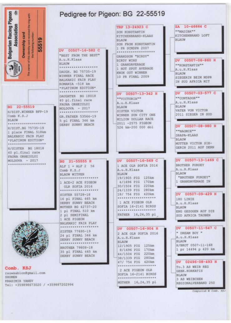 BG 55519-22 M - Half brother 1 place Final BFP